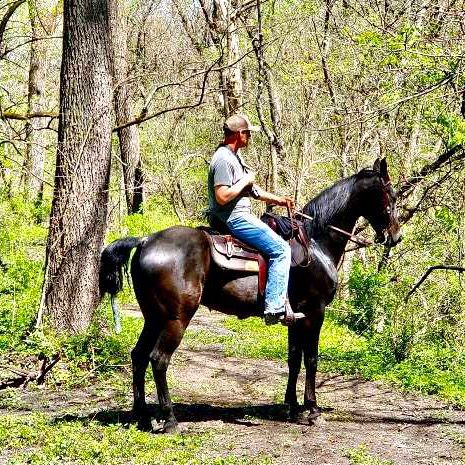 The Rancher Don TikTok profile picture